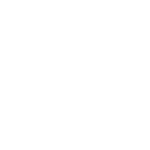 Ladies Tech Talks Logo